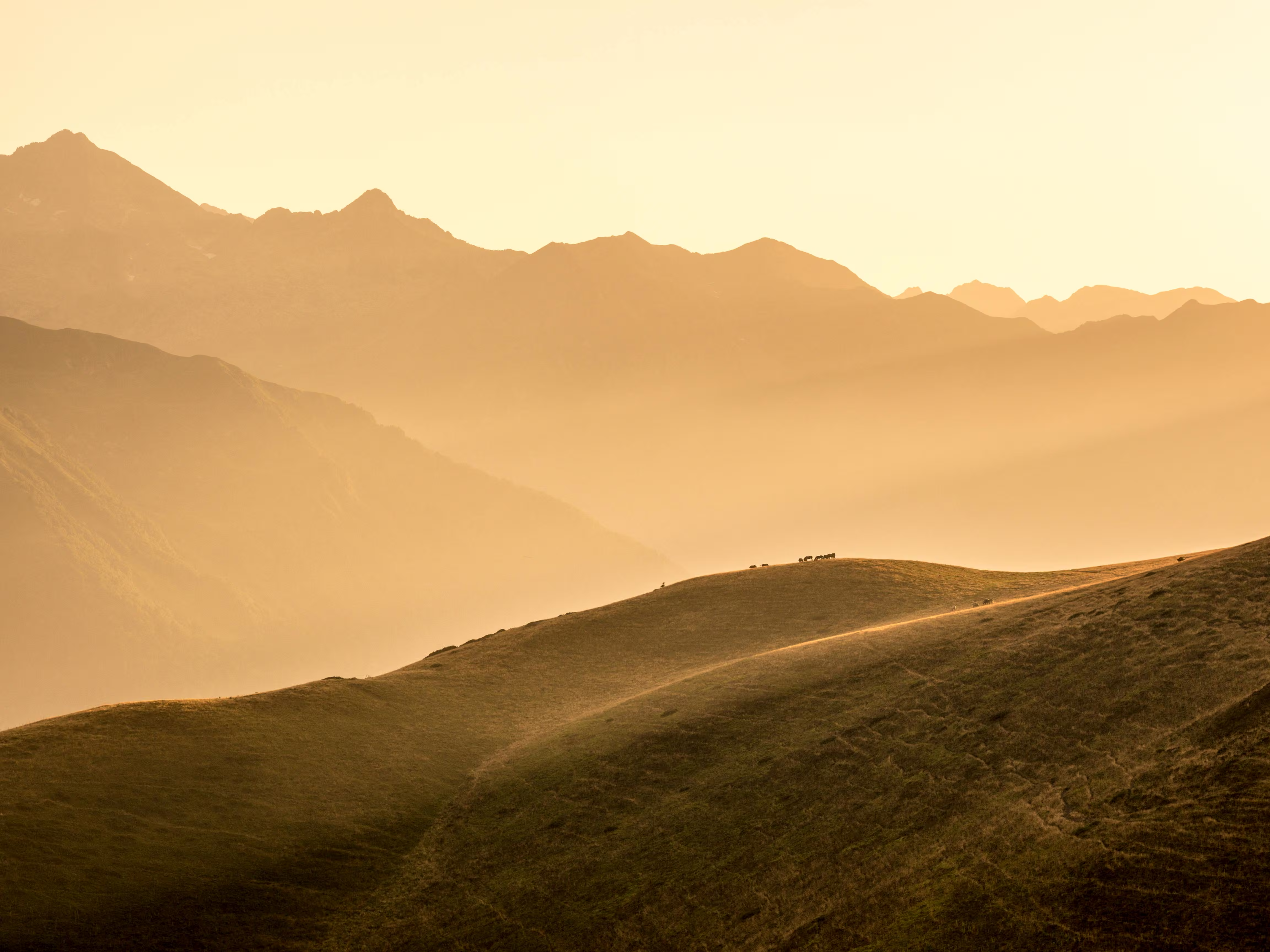 Vue sur les Pyrénées depuis Tarbes